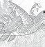 Image result for Free Sea Life Coloring Pages