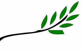 Image result for Sage Color Olive Branch Clip Art