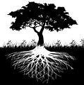 Image result for Tree Roots Drawing