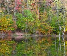 Image result for Cartton Fall