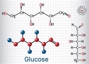 Image result for Carbohydrate Chemical Structure