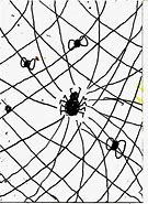 Image result for Zentangle Spider Web