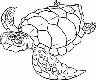 Image result for Sea Life Coloring Pages