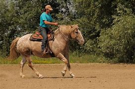 Image result for Real Cowboy Clothes