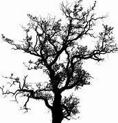 Image result for Maple Tree Silhouette Vector