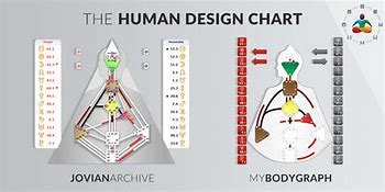 Image result for My Body Graph Human Design