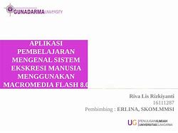 Image result for Gambar Sistem Ekskresi