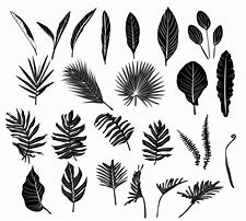 Image result for Leaves Vector Free