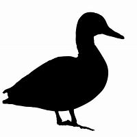 Image result for Duck Pencil Drawing