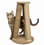 Image result for Cat Scratching Post Old