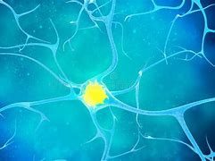 Image result for Neuron Structure in Neural Network