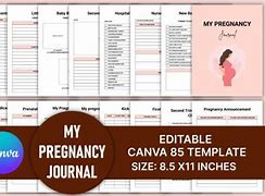 Image result for Pregnancy Bullet Journal