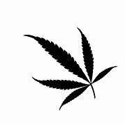 Image result for Marijuana Plant ClipArt