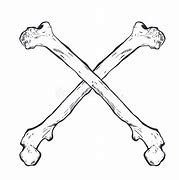 Image result for Realistic Bones Crossed