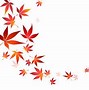 Image result for Japanese Maple Leaf Outline