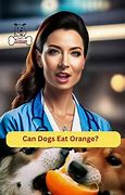 Image result for Orange Dog Clip Art