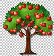 Image result for Apple Tree Vector