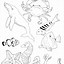 Image result for Sea Life Coloring Pages