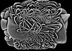 Image result for Generative Art