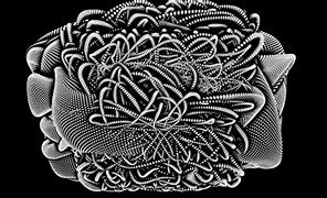 Image result for Contemporary Generative Art