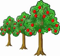 Image result for Apple Tree Ink Drawing