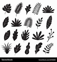 Image result for Leaf Vector Without Background