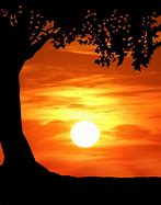 Image result for Tree Leaves Silhouette Realist