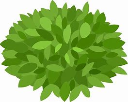 Image result for Bush Clip Art Free