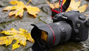 Image result for Outdoor Photography Ideas