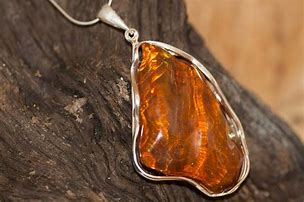 Image result for Amber Necklaces for ADHD