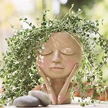 Image result for Flower Pot On Head