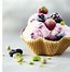 Image result for All in One Ice Cream Maker