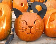 Image result for Pumpkin Cat Earrings