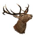 Image result for Stag Head Illustration