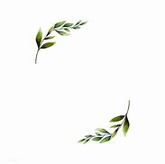 Image result for Olive Branch Watercolor Art