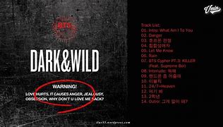 Image result for BTS Dark and Wild Album Cover