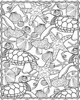 Image result for Free Sea Life Coloring Pages