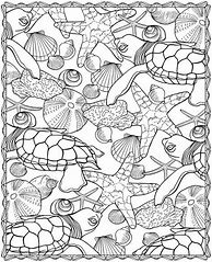 Image result for Sea Life Coloring Pages