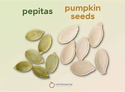 Image result for Pumpkin Seed vs Pumpkin