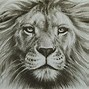 Image result for Drawn Lion Head