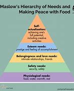 Image result for Maslow's Hierarchy of Needs Book