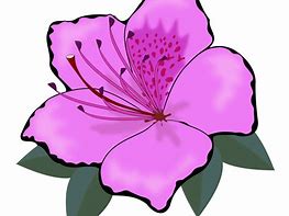 Image result for Microsoft Free Clip Art Flowers