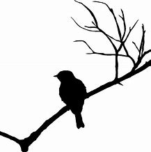 Image result for Bird Singing On Branch in Silhouette