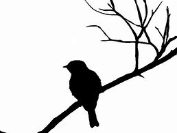 Image result for A Bird On a Branch