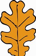 Image result for oak leaf outline