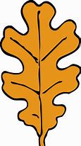 Image result for Oak Leaf Outline