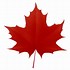 Image result for Canadian Maple Leaf Silhouette