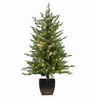 Image result for Potted Artificial Christmas Trees