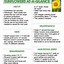 Image result for Different Sunflowers