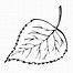 Image result for Coloring Picture of Leaf